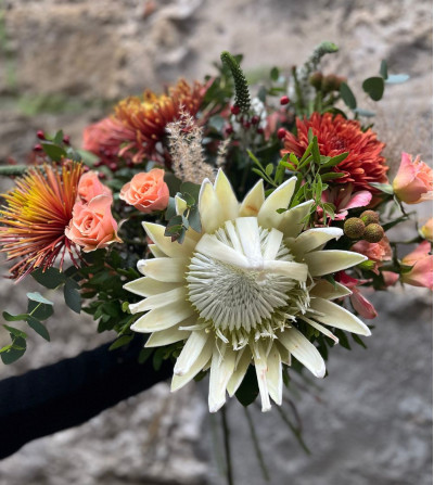 ZUMAIA:  PROTEA